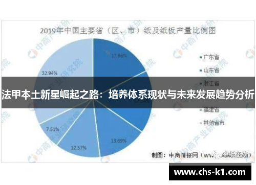 法甲本土新星崛起之路：培养体系现状与未来发展趋势分析